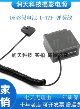 适用松下NV-MX2500 MX350/A/B MX5假电池D54S＋D-TAP接口弹簧线