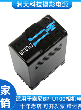 BP-U100电池容量U30 U60 U70 U90 FS5 7 FX6 9相机充电器