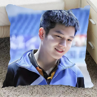 樊振东周边抱枕双面定制送闺蜜女朋友生日礼物卧室客厅靠垫午睡枕