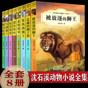 全套8册 小学生课外阅读 书籍三四年级五六年级经典 8一12岁 沈石溪动物小说全集正版 读物 儿童故事6