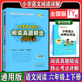 小学语文考试阅读真题精选专练详解六年级通用版 6年级上下册核心考点分类训练深度解析语文训练习题文体阅读技巧教辅书