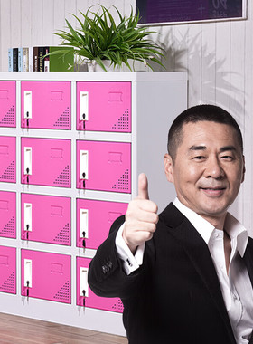 中伟更衣柜矮柜储物柜办公柜钢制铁皮柜碗柜资料柜鞋柜十二门红色