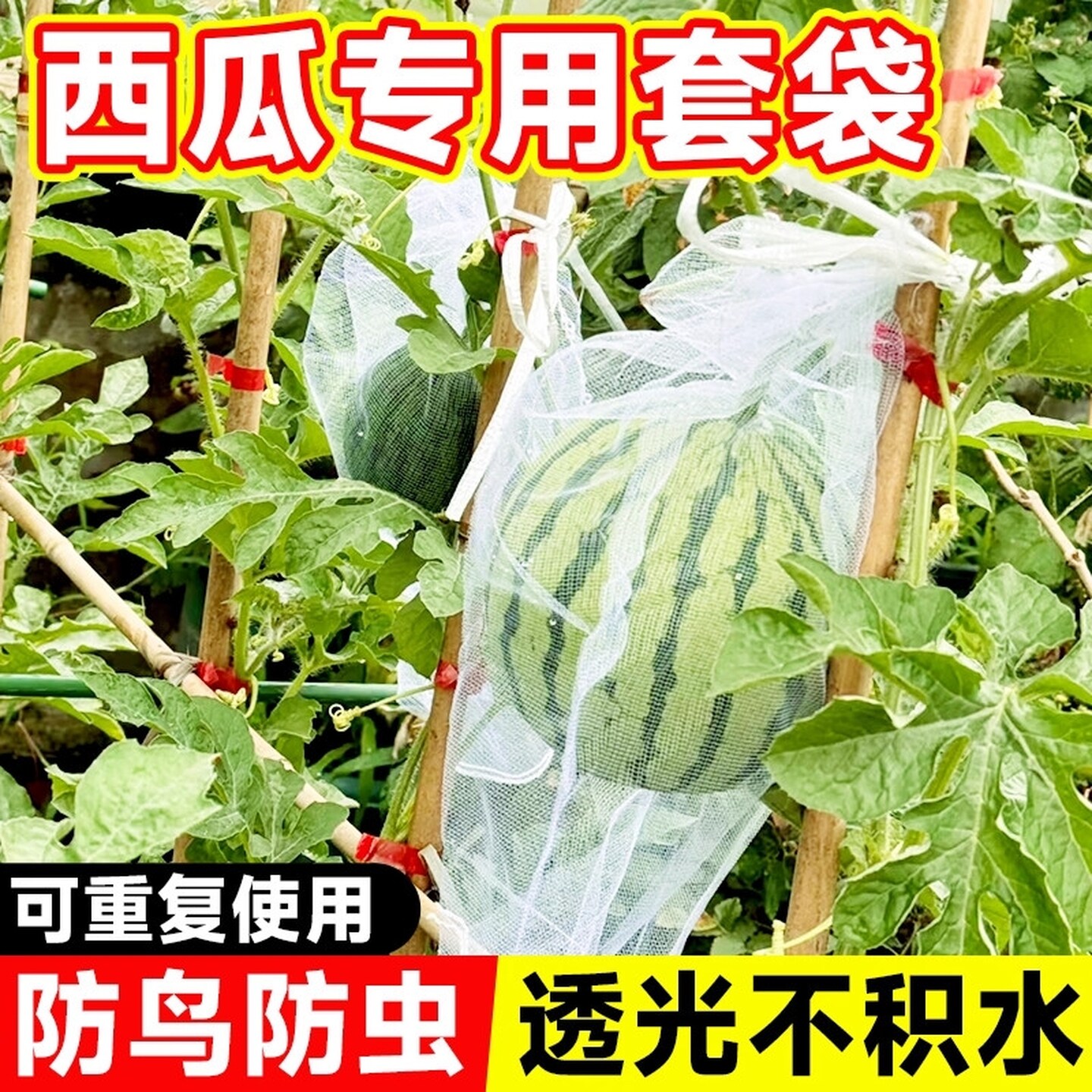 西瓜套袋专用袋防虫防鸟神器网纱果袋香瓜哈密瓜果蔬保护大号套袋