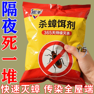 蟑螂药强效出租屋家用无毒一窝端卧室厨房蟑螂克星灭虫神器灭蟑粉