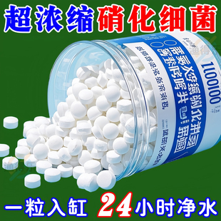 超浓缩鱼缸硝化细菌去除鱼缸异味净化水质去腥味鱼缸专用鱼缸过滤