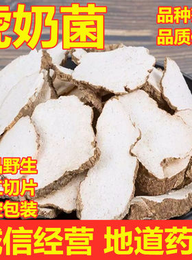 虎乳菌中药材野生热带虎奶菌虎乳菌片老虎奶马来西亚250g包装
