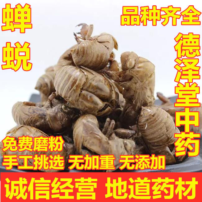 蝉蜕新款安徽省中药材蝉衣蝉壳知了皮蝉退壳虫蜕虫退爬了儿500g