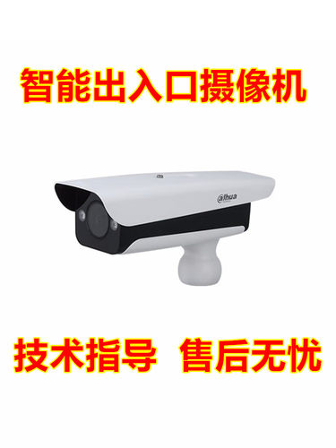 大华300万摄像机智能出入口