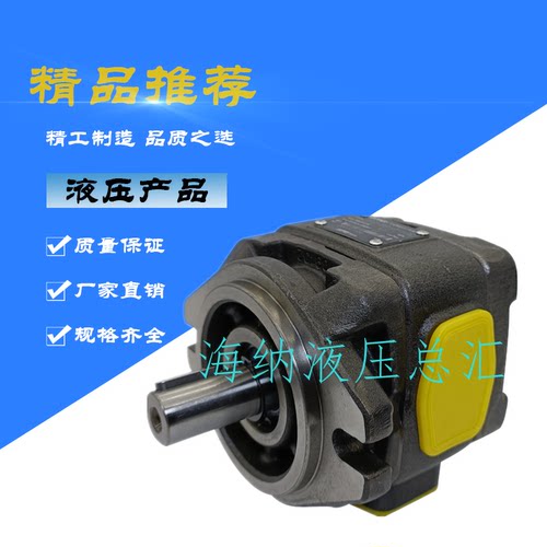HG2海特克HYTEK齿轮泵HG2-80/100/125/145/160-01R-VPC