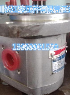四川长江液压件CBK1010 CBK1012 CBK1016 CBK1020 CBK1025齿轮泵