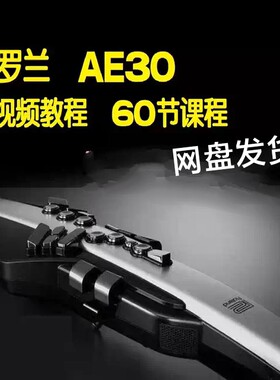 罗兰AE30电吹管乐器教程学习教材视频初学者入门课程电子资料
