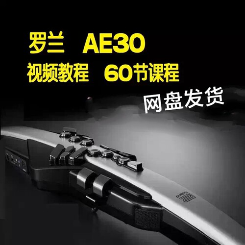 罗兰AE30电吹管乐器教程学习教材视频初学者入门课程电子资料