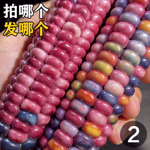 七彩玻璃宝石彩绘山文玩玉米毛料拍哪个发哪个一物一拍（2）