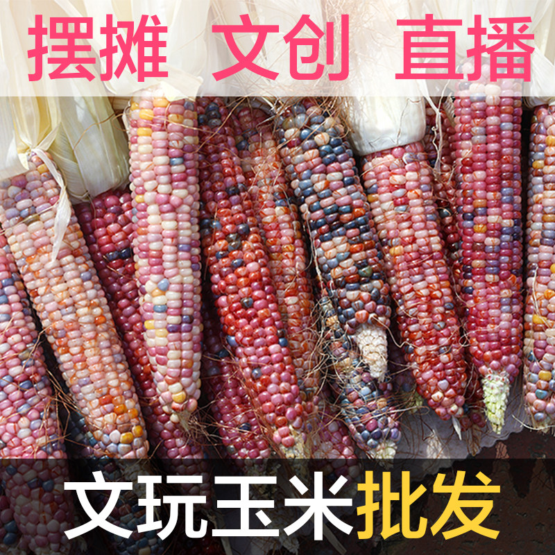 文玩玉米盲盒毛料批发 七彩玻璃宝石小玉米摆摊文创饰品摆件批发图片