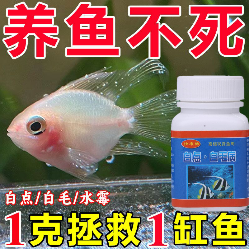 鱼身上白点鱼身上长白毛水霉病鱼缸专用养金鱼锦鲤水族鱼缸鱼用