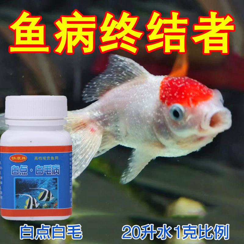 白点白毛观赏鱼锦鲤金鱼水霉病小瓜虫鱼缸常备疾病预防治疗专用