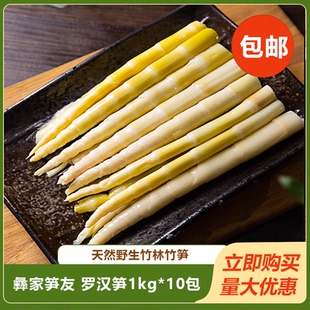 彝家笋友罗汉笋1kg*10包小竹笋新鲜春笋清水袋装火锅笋子特产商用