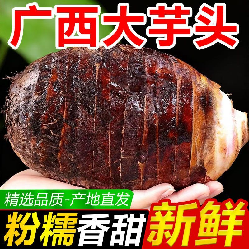 正宗广西荔浦大芋头新鲜粉糯香芋小芋头正宗槟榔芋毛芋艿农家自种
