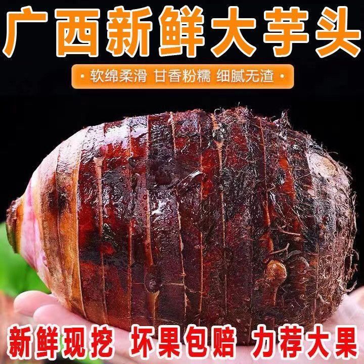 正宗广西荔浦大芋头新鲜粉糯香芋小芋头正宗槟榔芋毛芋艿农家自种