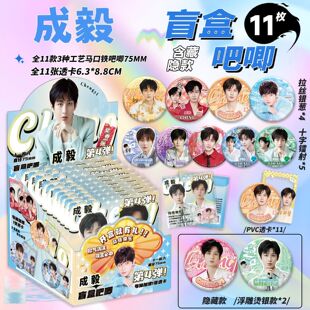 成毅吧唧盲盒拉丝银葱双闪徽章周边新款75mm马口铁谷子学生礼物潮