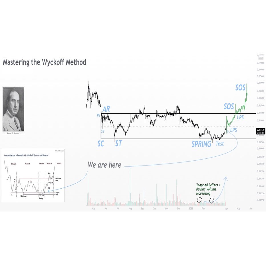 3W（Wyckoff、Weis和William） (Total 大小：962.8 MB 包含