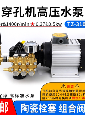 穿孔机高压水泵 打孔机电火花高压水泵 穿孔机高压水泵泵头TZ-310