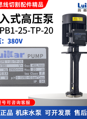 睿嘉LuiKar洛凯循环泵LDPB1-25-TP-20橡胶雕刻机床浸入式高铸铁