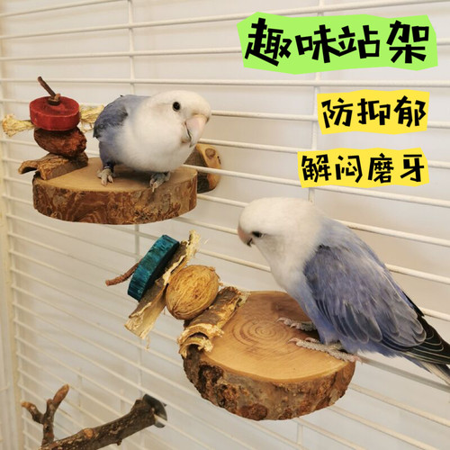 鹦鹉趣味游乐场啃咬栖息站台