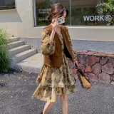 咖色法式复古马甲淡人套装女2025秋季气质设计感印花A字裙两件套，女装连衣裙，浙宝131