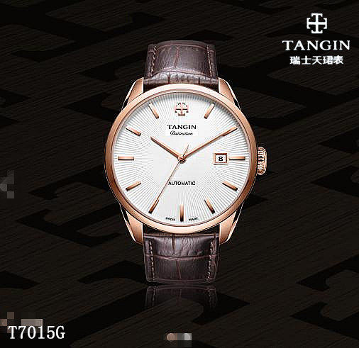 男表瑞士瑞士全自动机械表tangin