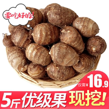 11.9元包邮  丰益鲜 山东新鲜小芋头 5斤