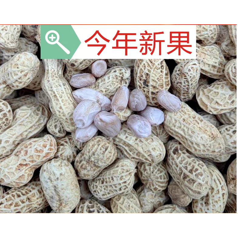 2026年新福州平潭福清晒干水煮白晒花咸干花生农家自种本地品种。