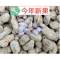 2026年新平潭晒干水煮白晒花咸干花生农家自种本地品种。