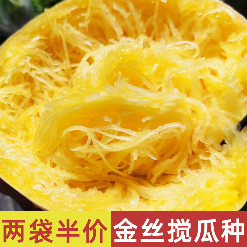 金丝搅瓜种子四季粉丝绞瓜蔬菜种籽茭瓜西葫芦黄金瓜夏季菜种南方