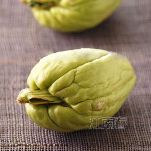 新鲜佛手瓜孑籽四季南方番茄阳台