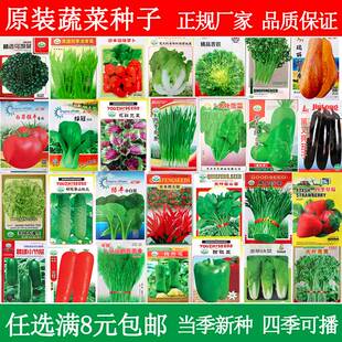 蔬菜春种春天四季香菜农家种子南方春季菜籽菜种大全种籽莱籽种