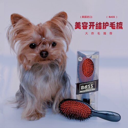 天然猪鬃护毛柄梳约克夏开结梳子