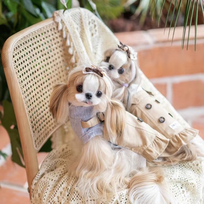 背带裙拼接西施juniorpie小型犬