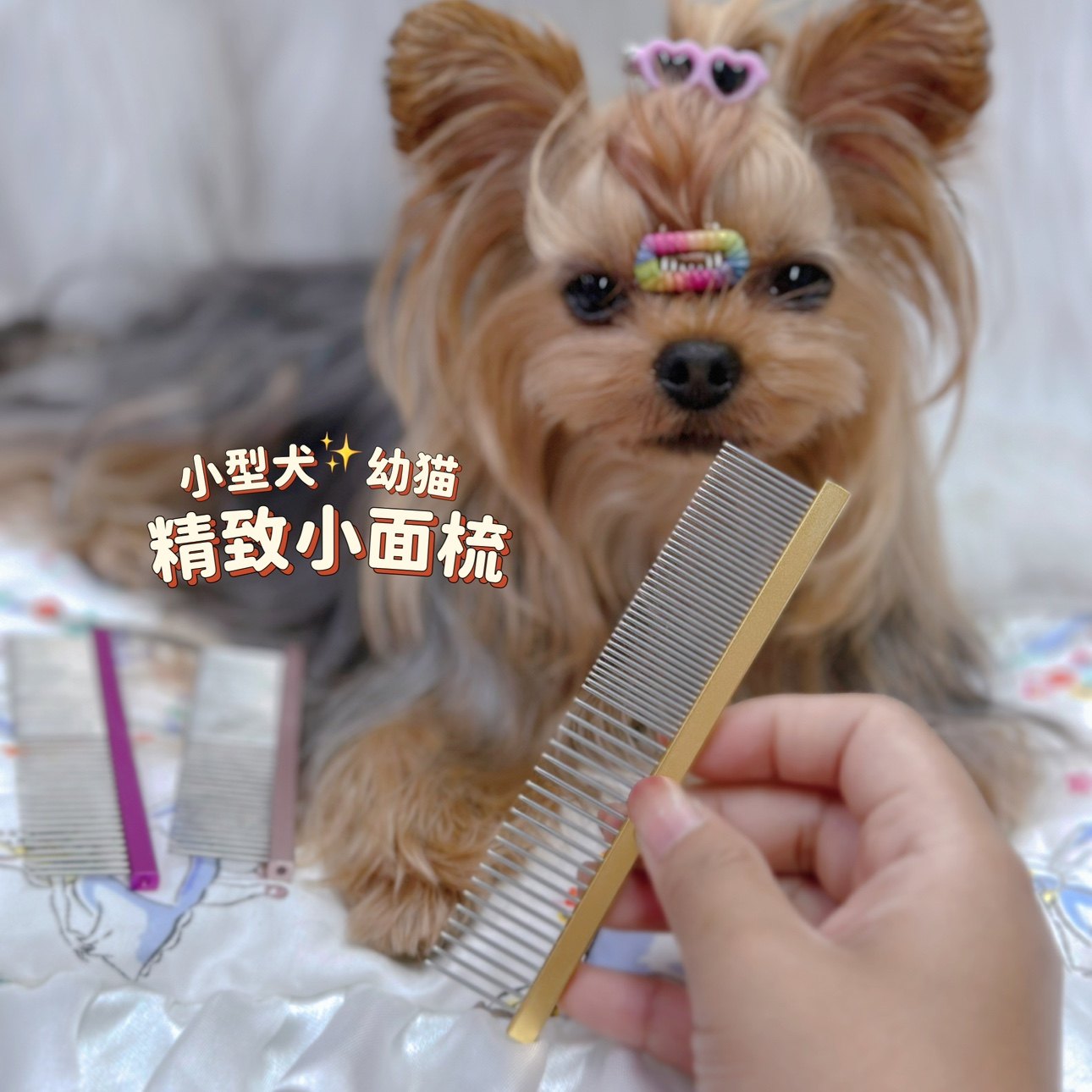 性价比约克夏迷你小面梳小宠物开结排梳马尔济斯脸梳扎头自用推荐,宠物/宠物食品及用品,猫狗梳子/排梳,淘宝优惠券,粉丝福利购,淘宝优惠卷