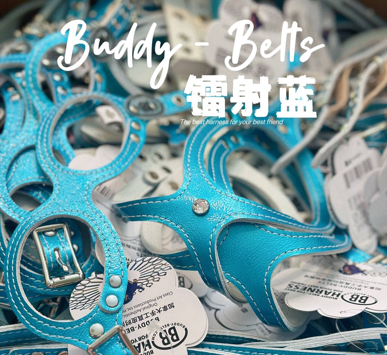 【镭射蓝】加拿大bbBuddyBelts新款限定胸背宠物真皮牵引绳狗狗