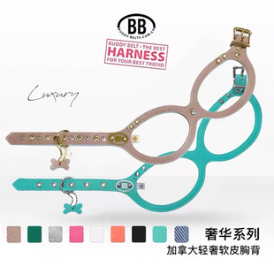 奢华系列 buddybelts加拿大bb胸背小型犬猫狗牵引蒂芙尼蓝项圈