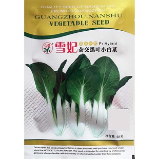 冬春季蔬菜种子黑叶小白菜种子秋冬季节四季播蔬菜种孑庭院大田用
