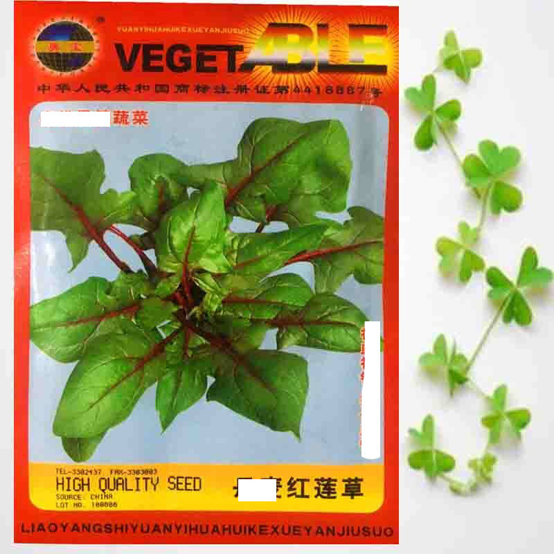 丹麦红莲草种子救心草菠菜种籽菜种籽春秋冬季种植四季蔬菜种子孑