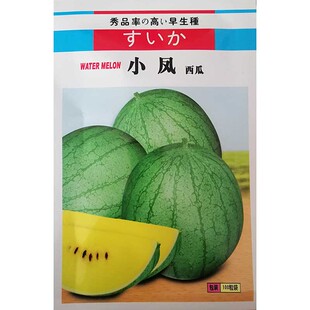 农友丰兰礼品西瓜种籽早熟薄皮脆甜高产特色黄瓤小西瓜种子孑四季