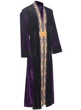 Albus Dumbledore's Halloween costume is the principal costu