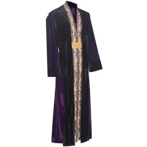Albus Dumbledore's Halloween costume is the principal costu