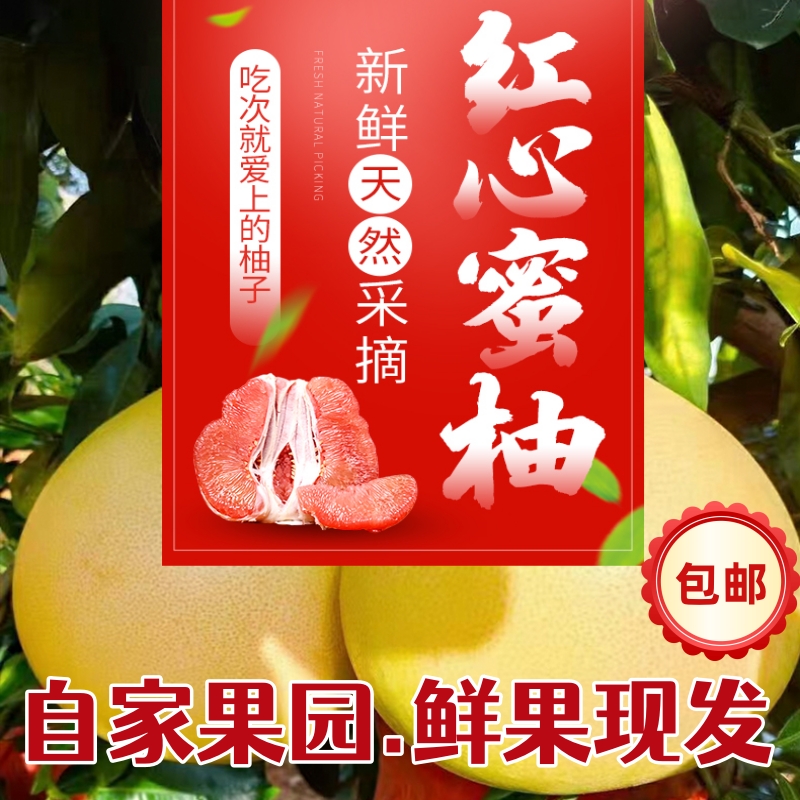 正宗梅县红心蜜柚新鲜水果