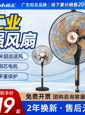 小霸王工业电风扇强力家用落地扇