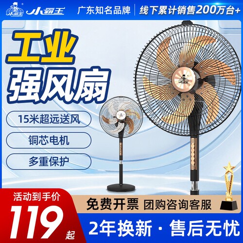 小霸王工业电风扇强力家用落地扇
