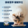 Флагманский магазин Ziwi Ziyi Peak Canned Cat 185g12 Основной корм для кошек Консервированный влажный корм для домашних животных spot mini 2